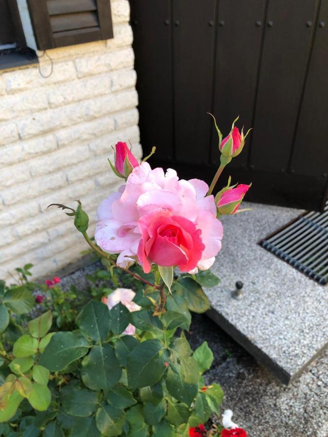 Anitas B&B Stockholm/Vaellingby Dış mekan fotoğraf